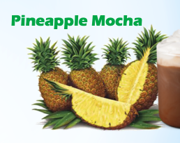 Pineapple Beverages 黄莉饮料 (4 Types)